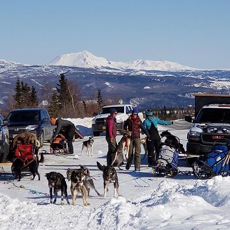 Denali Wild Stay - Bear Cabin With Hot Tub And Free Wifi, Private, Sleep 6 Healy Eksteriør billede