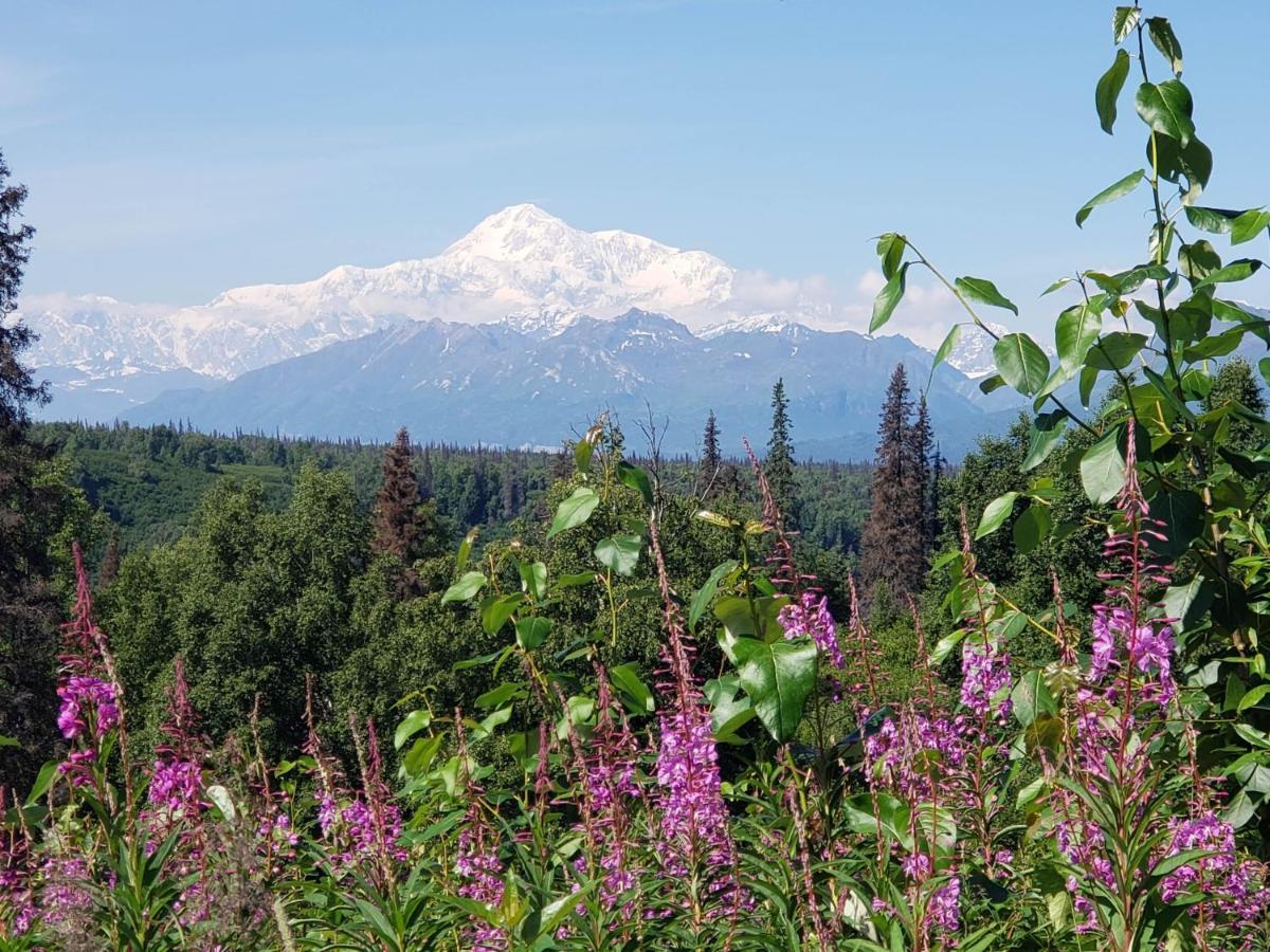 Denali Wild Stay - Bear Cabin With Hot Tub And Free Wifi, Private, Sleep 6 Healy Eksteriør billede