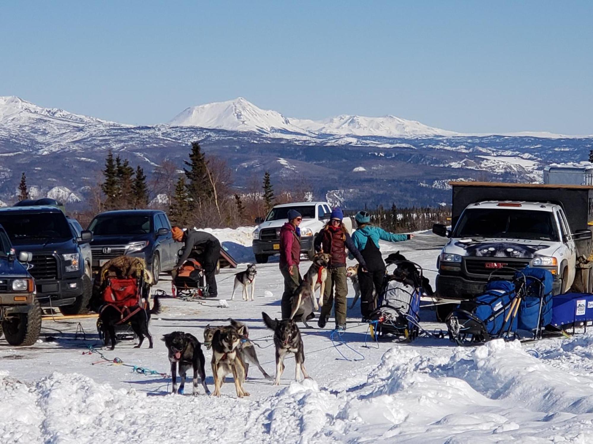 Denali Wild Stay - Bear Cabin With Hot Tub And Free Wifi, Private, Sleep 6 Healy Eksteriør billede