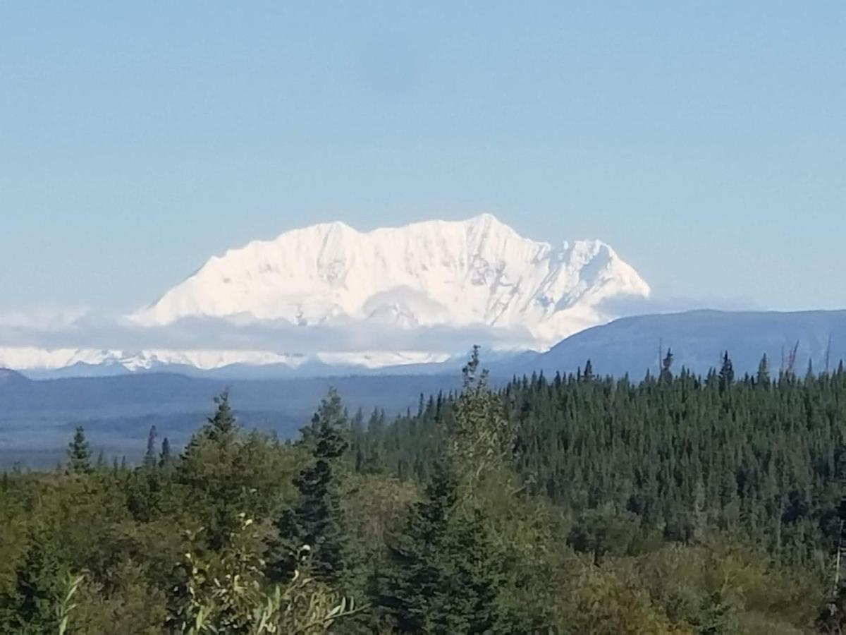 Denali Wild Stay - Bear Cabin With Hot Tub And Free Wifi, Private, Sleep 6 Healy Eksteriør billede