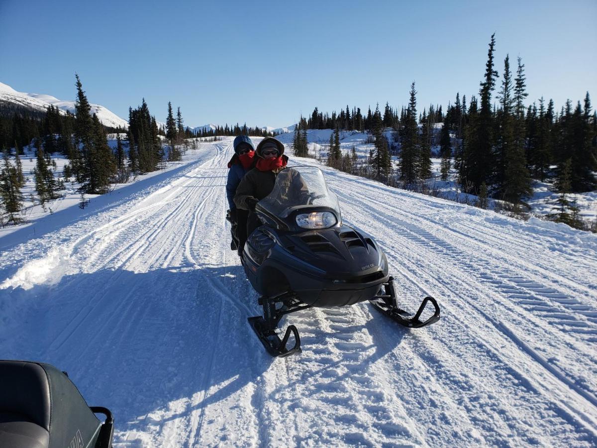 Denali Wild Stay - Bear Cabin With Hot Tub And Free Wifi, Private, Sleep 6 Healy Eksteriør billede