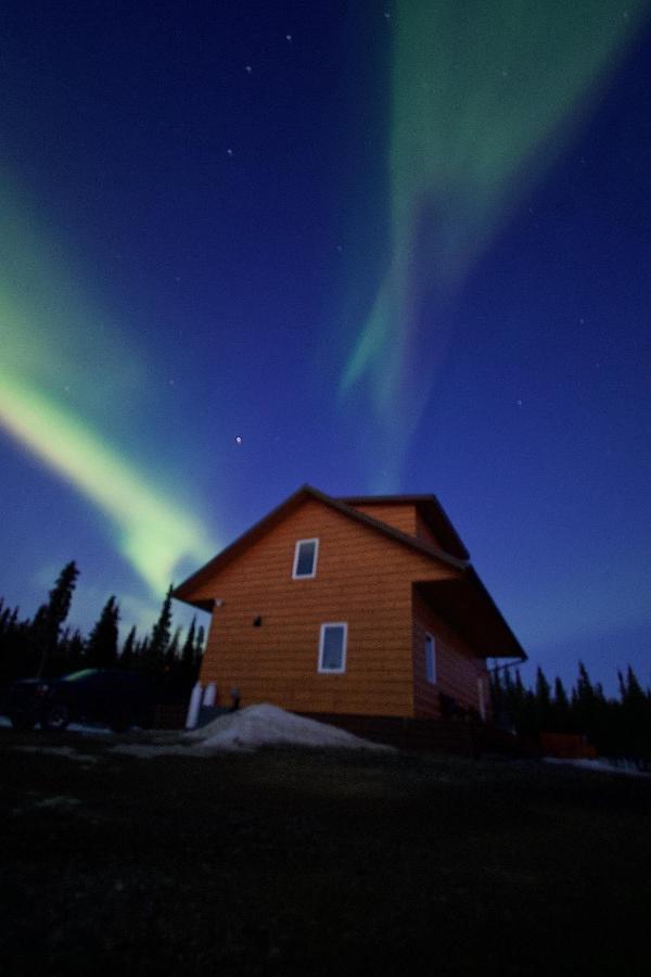 Denali Wild Stay - Bear Cabin With Hot Tub And Free Wifi, Private, Sleep 6 Healy Eksteriør billede