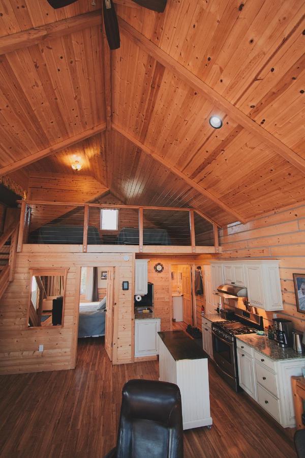 Denali Wild Stay - Bear Cabin With Hot Tub And Free Wifi, Private, Sleep 6 Healy Eksteriør billede