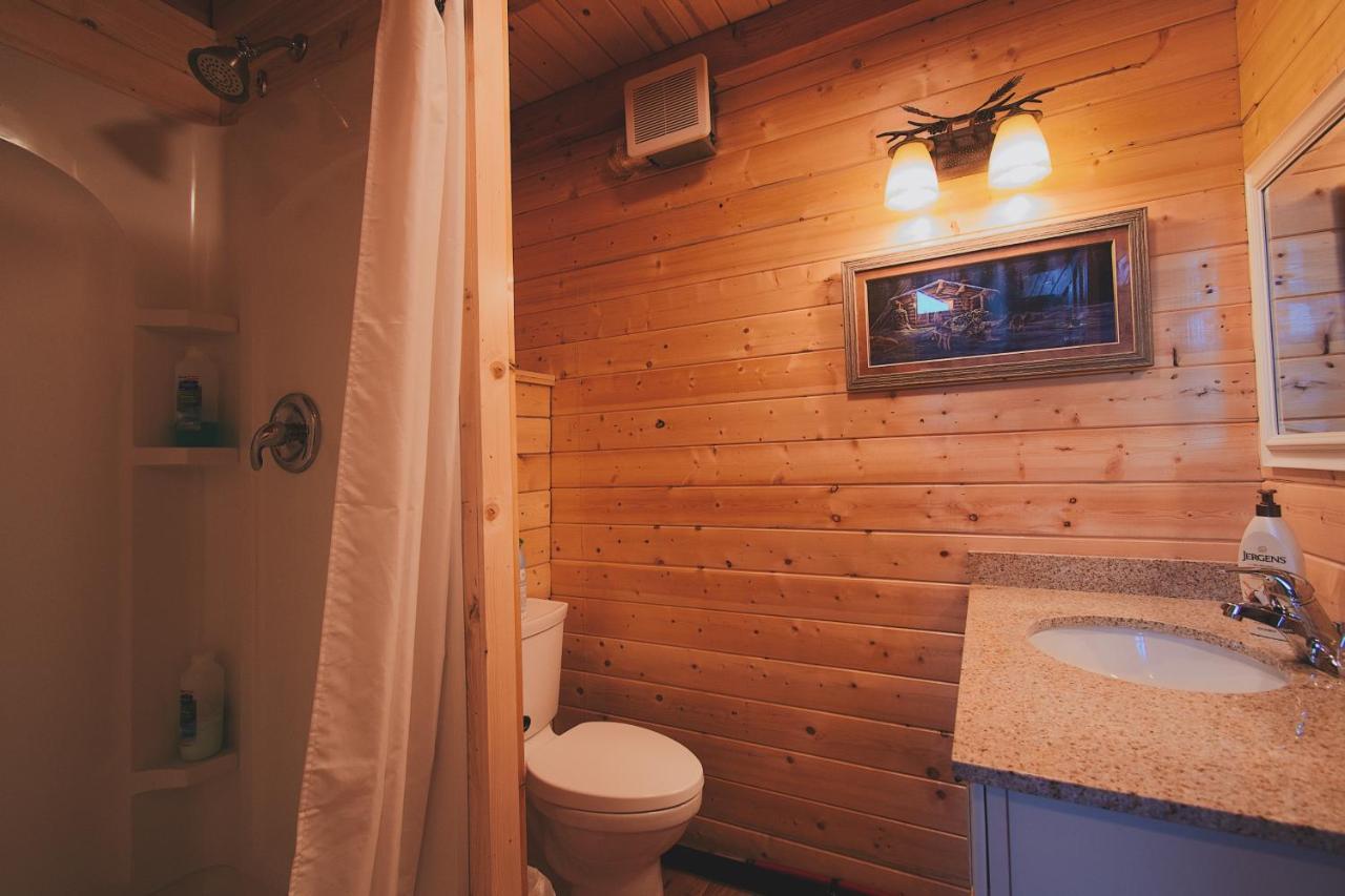 Denali Wild Stay - Bear Cabin With Hot Tub And Free Wifi, Private, Sleep 6 Healy Eksteriør billede