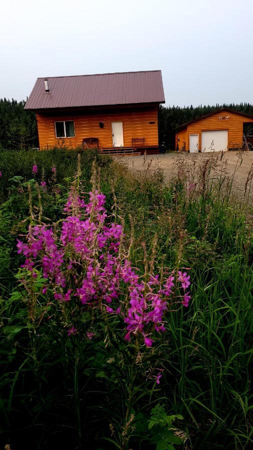 Denali Wild Stay - Bear Cabin With Hot Tub And Free Wifi, Private, Sleep 6 Healy Eksteriør billede